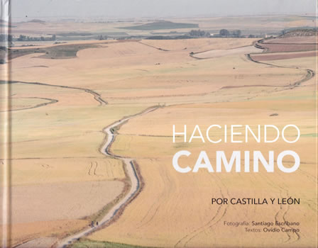 Haciendo camino por Castilla y León