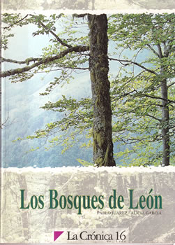 Los bosques de León