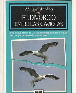 El divorcio entre las gaviotas