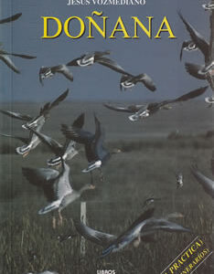 Doñana