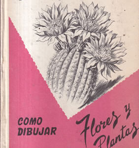 Cómo dibujar Flores y Plantas
