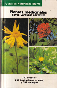 Plantas medicinales, bayas, verduras silvestres