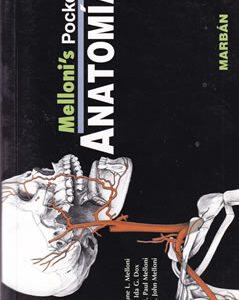Melloni's Pocket. Anatomía
