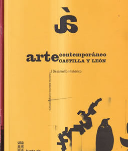 Arte contemporáneo. Castilla y León. Incluye CD