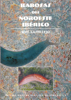 Babosas del noroeste ibérico